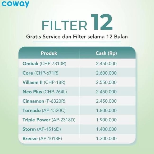 Coway 12 Paages Air Purifier Water Purifier Services Breeze