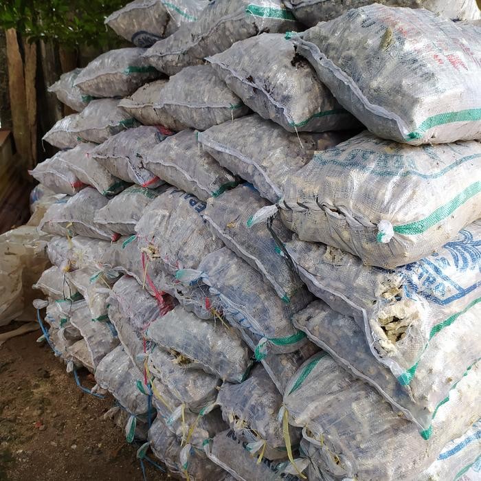 KARANG JAHE SUPER BESAR PH BUFFER 5KG
