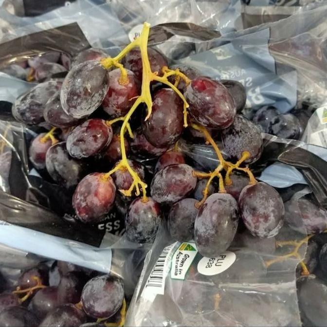 

:<:<:<:<] Anggur Hitam Black Autumn 500 gr