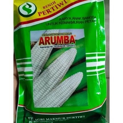 ORIGINAL _ Baru Benih / Bibit Jagung Putih Pulut Manis Arumba Jagung Arumba 250 Gram