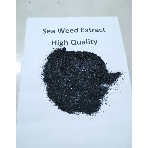 Seaweed Extract pupuk Organik  ( 1 kg ).