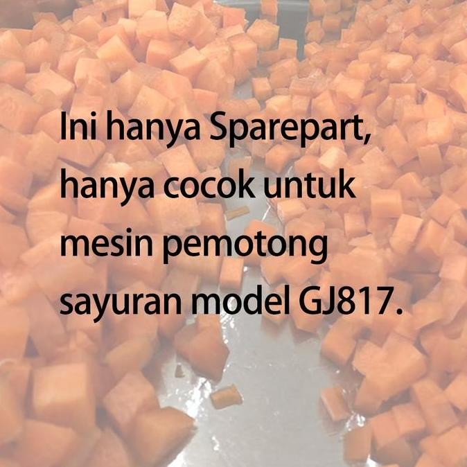 

Terlaris Leevot Mesin Potong Sayuran Memotong Dadu 8X8Mm 10X10Mm 6X6Mm 12X12