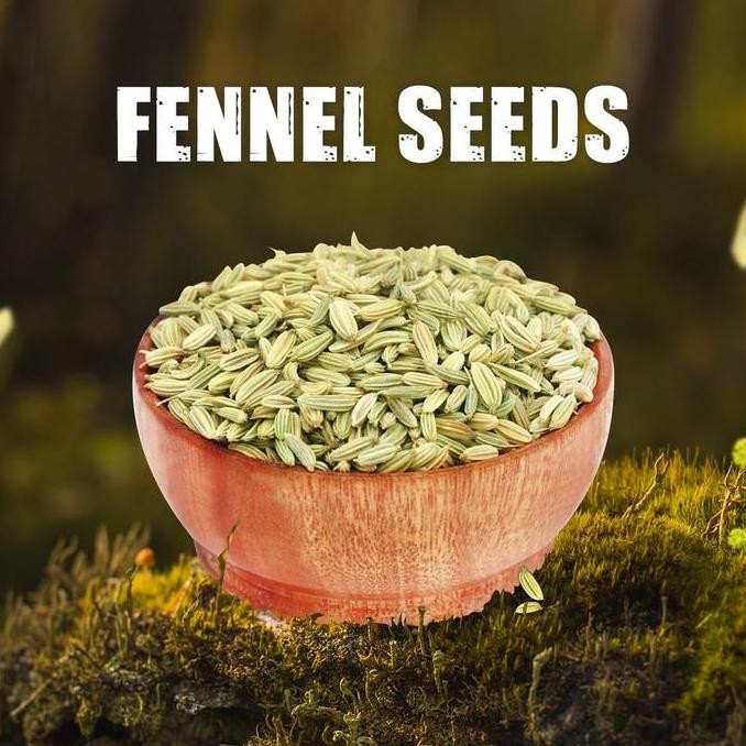 

$+$+$+$+] BB FENNEL SEEDS 200GM