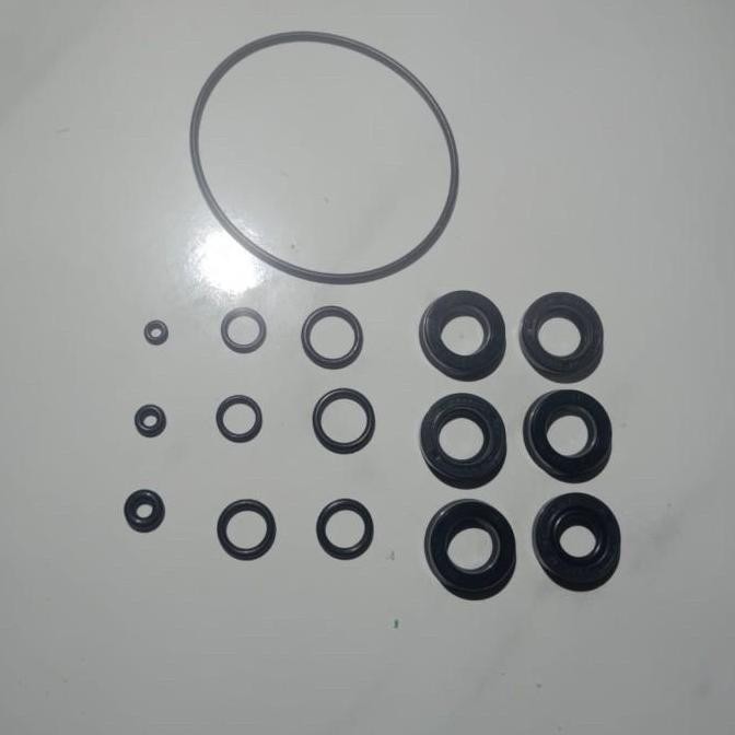 Seal Mesin Starwash Lakoni Annovi Reverberi  Cleaner