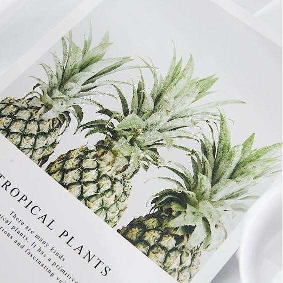 

Ready Stock !!! Kertas Gambar Poster Tema Tumbuhan Bunga Dan Buah Properti Foto