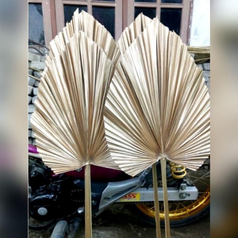 DAUN PALEM GOLD | DEKORASI | RUSTIC