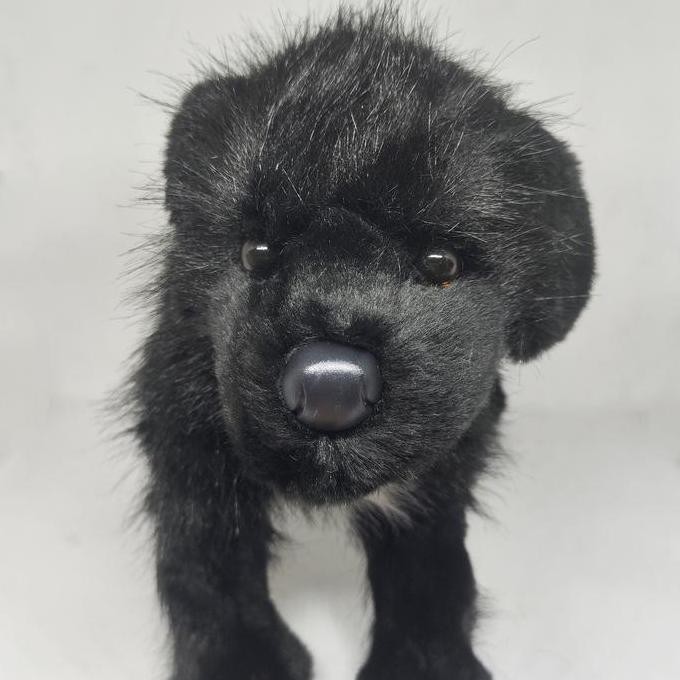 NEW Boneka Anjing Brand Douglas READY