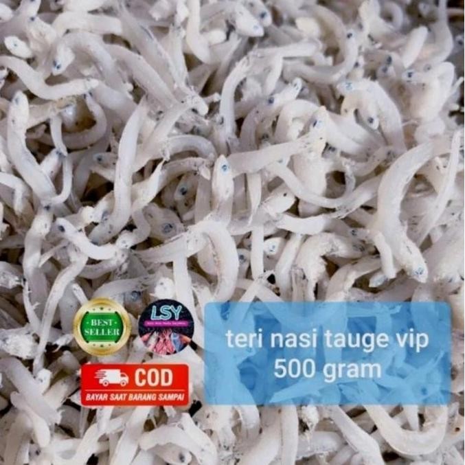 

Ikan Asin Tn Tauge Vip/Teri Nasi Size Jumbo 500Gr