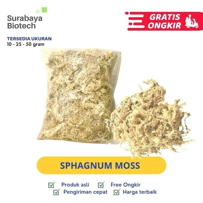 Promo Sphagnum Moss | Media Tanam Sphagnum / Spaghnum / Spagnum / Moss Putih COD