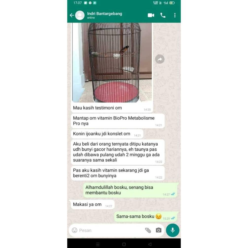 OBAT Burung Katarak BIOPRO KATARAK PRO Menyembuhkan Katarak untuk Semua Jenis Burung ND8