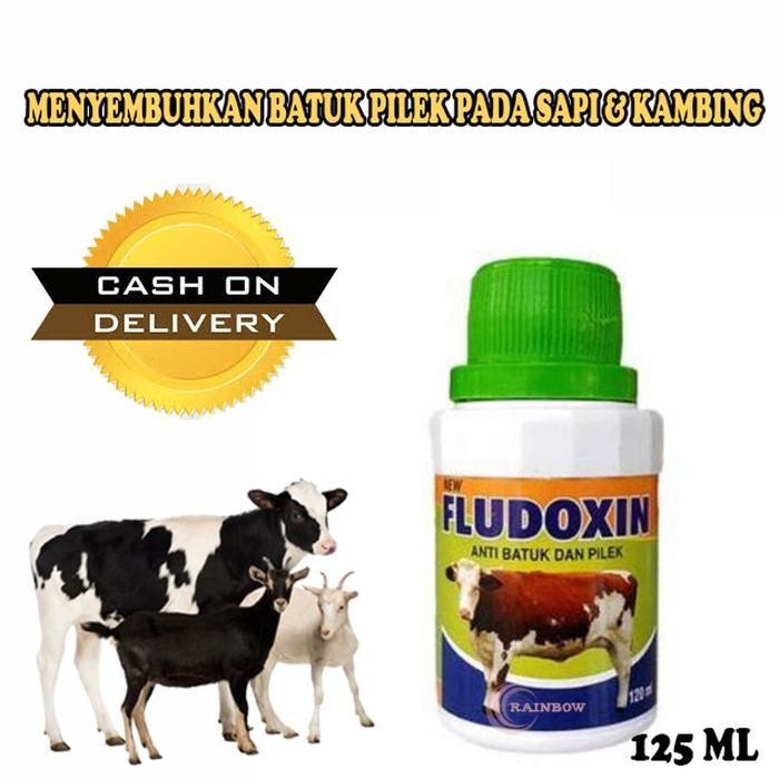 Fludoxin 120 Ml Obat Hewan Obat Flu Batuk Pilek Untuk Sapi Kerbau Kambing Babi Kuda Meningkatkan Day