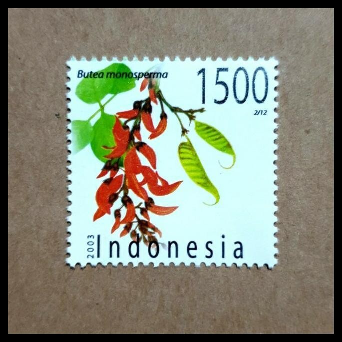 

TERMURAH PRANGKO INDONESIA. BUTEA MONOSPERMA ~ POHON GUGUR MUSIM KEMARAU !!!!!!