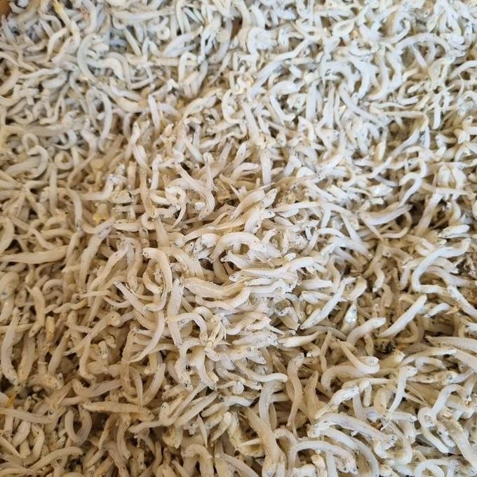 

Teri Medan 500 Gram