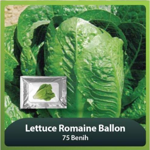 

New Item!, Selada /Lettuce Romaine Ballon 150 Benih Boom Sale