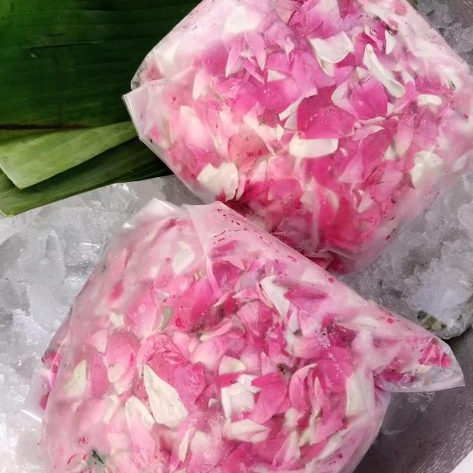 mawar kampung wangi / mawar wangi / mawar tabur