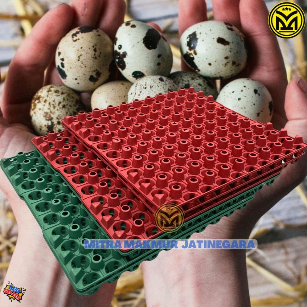 Krat Telur Puyuh Plastik Isi 90 Telur Tray Egg Puyuh Krat Plastik Telor Puyuh Egg Tray Stock