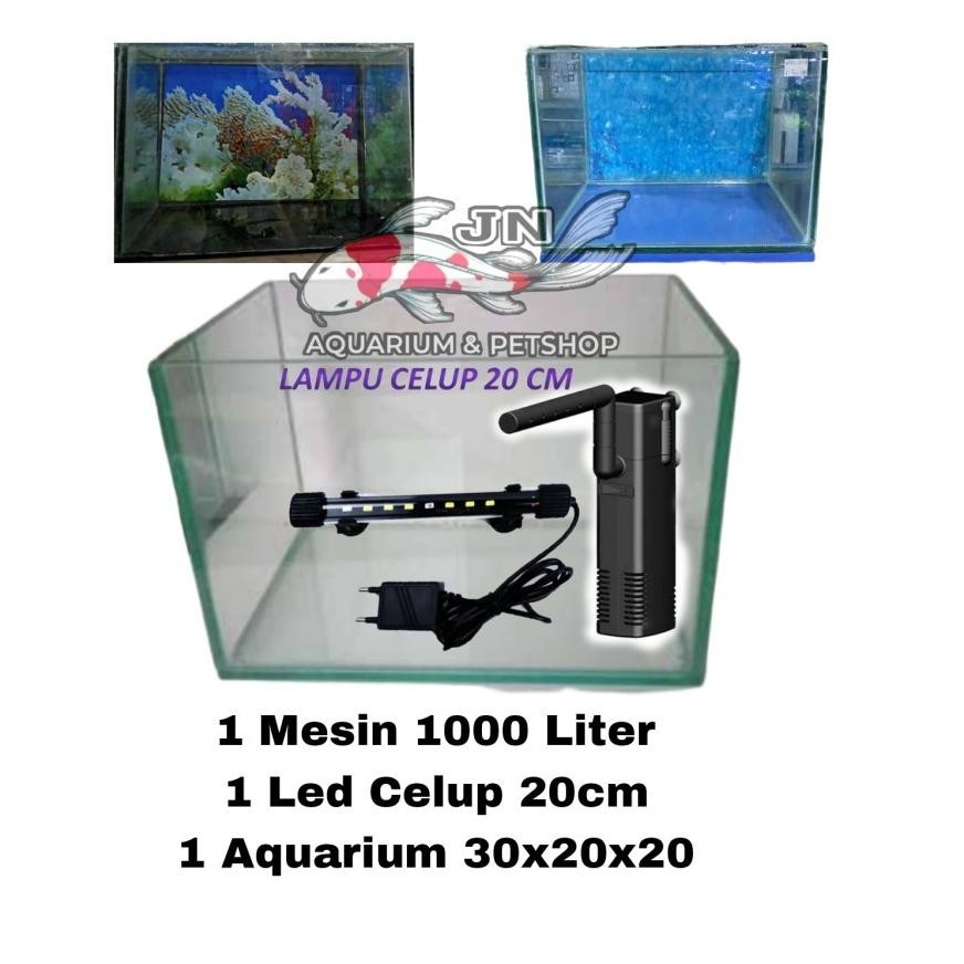 Paket Aquarium 30x20x20 Hiasan Aquarium