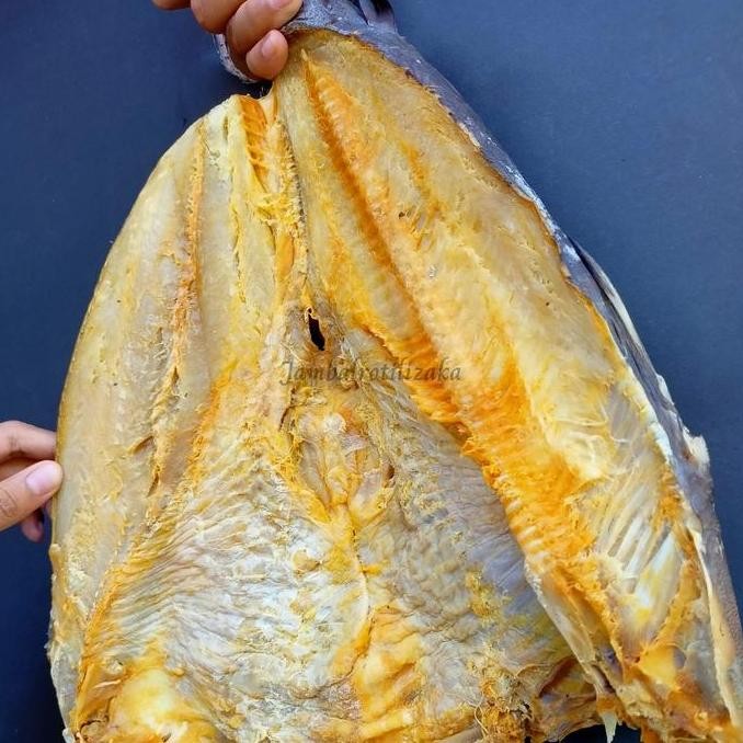 

[ Ikan Asin Jambal Roti Mentega Utuh (Basah/Ngeprul) 1kg Khas Pangandaran Organik