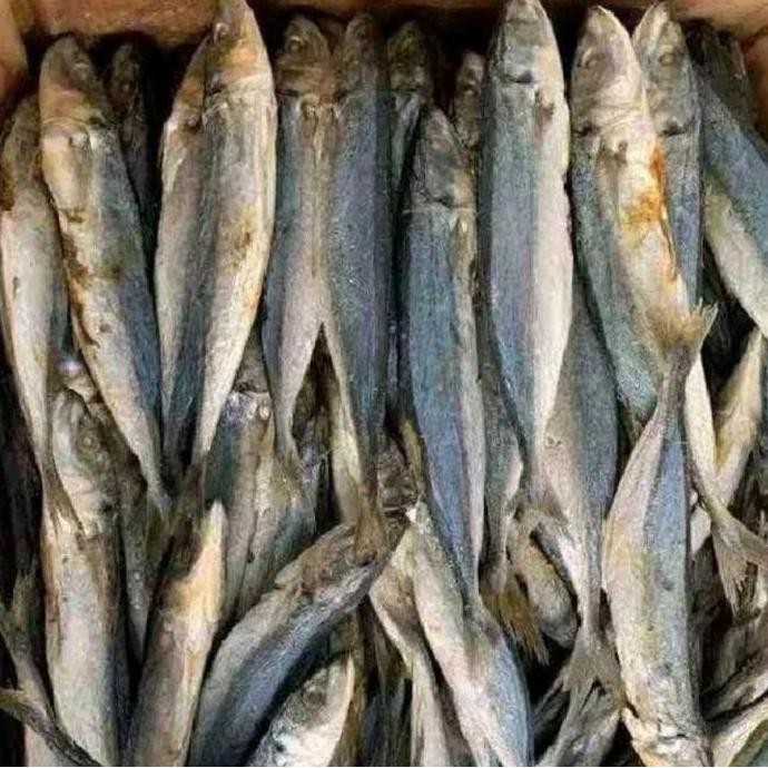

ikan asin rebus premium asli lampung 1000 gram Layang
