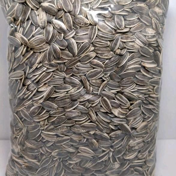 

FM Kwaci Bunga Matahari Manis Gurih 500gr Cemilan Gizi