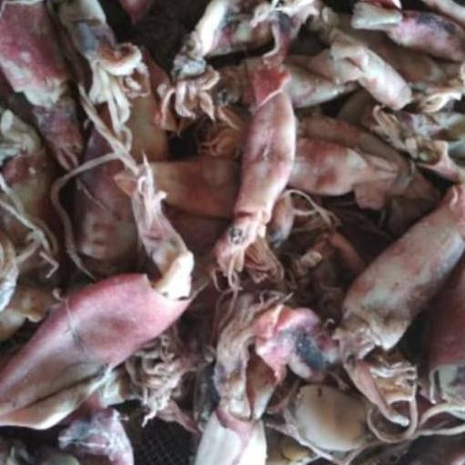 

IKAN ASIN WOKERTO Cumi Asin Kering per 250 Gram