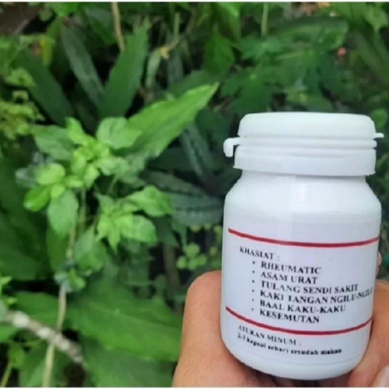 Obat Asam Urat Rematik Altis Pegal Pegal 1 Botol Isi 20 Kapsul