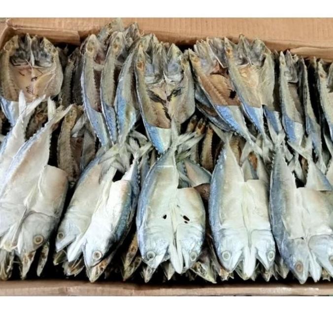 

ikan asin aso2/gembung belah