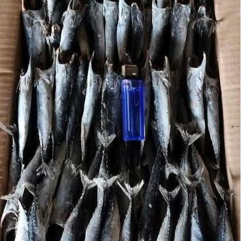 

Ikan Asin Rebus Tongkol PK 500 Gram ( 1/2 Kilogram )