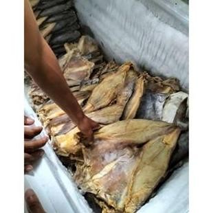 

ikan asin jambal roti super ngeprul asli jambal mentega 1kg