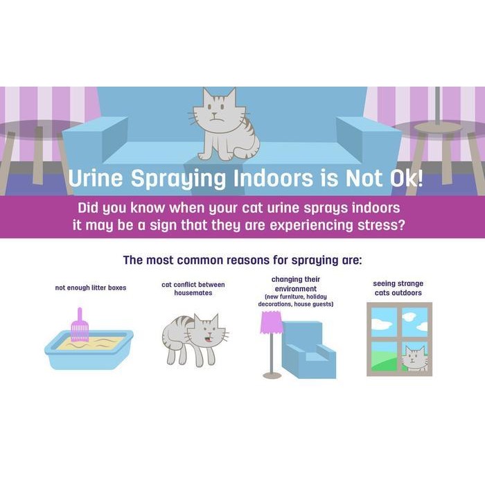 Feliway Classic Cat Calming Pheromone Travel Spray Relaxer Kucing 20Ml Original Dan Terpercaya