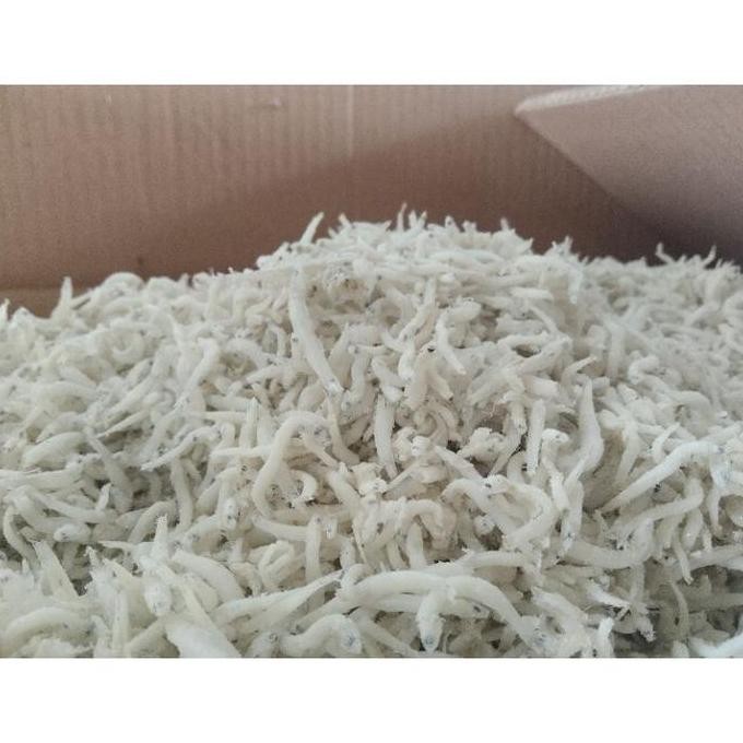 

Teri nasi 1kg/ikan asin teri medan/teri nasi ukuran sedang