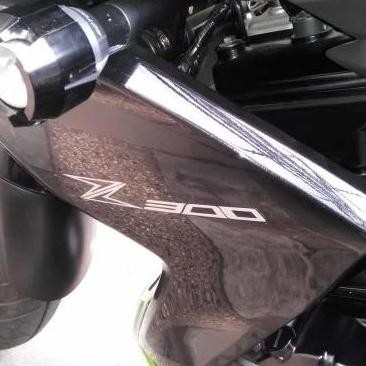 Decal Z250 / Sticker Z250 - Logo Z300 Murah