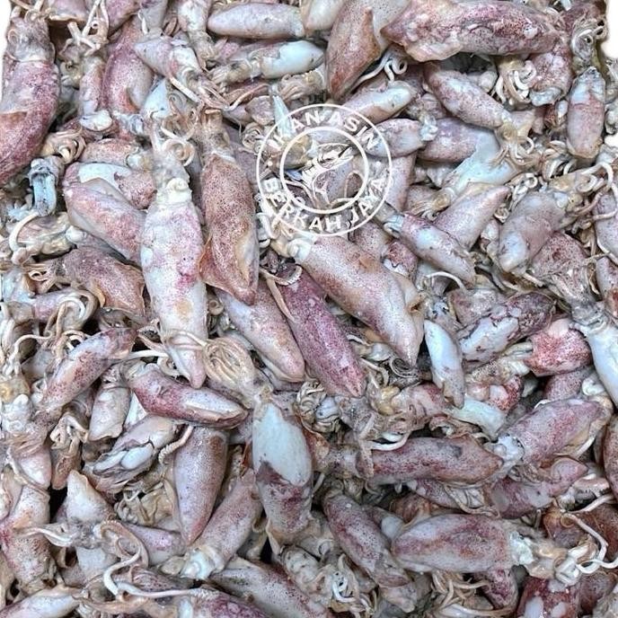 

Ikan Asin Berkah Jaya Cumi Asin Bertelur Super Jarum Halal Lezat Enak - Masakan