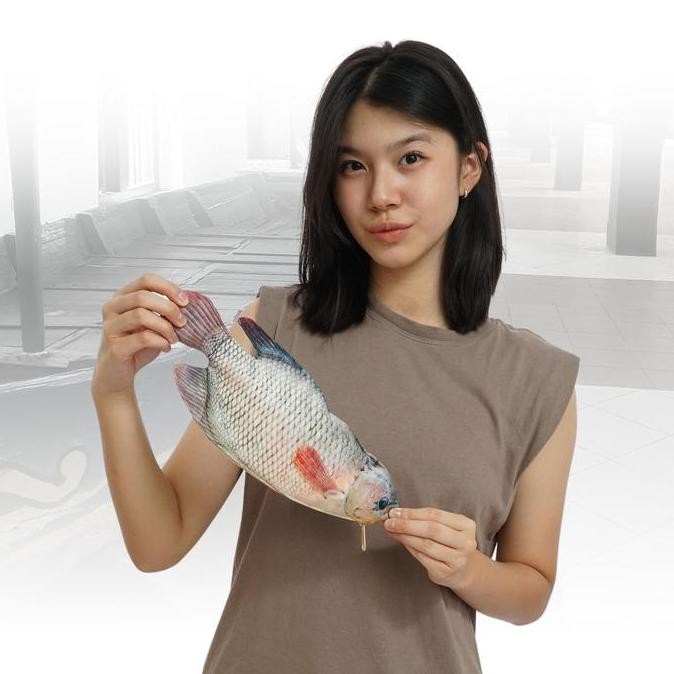 

Tempat Pensil Ikan Gurame Untuk Penggemar Seafood Stationery New Stok