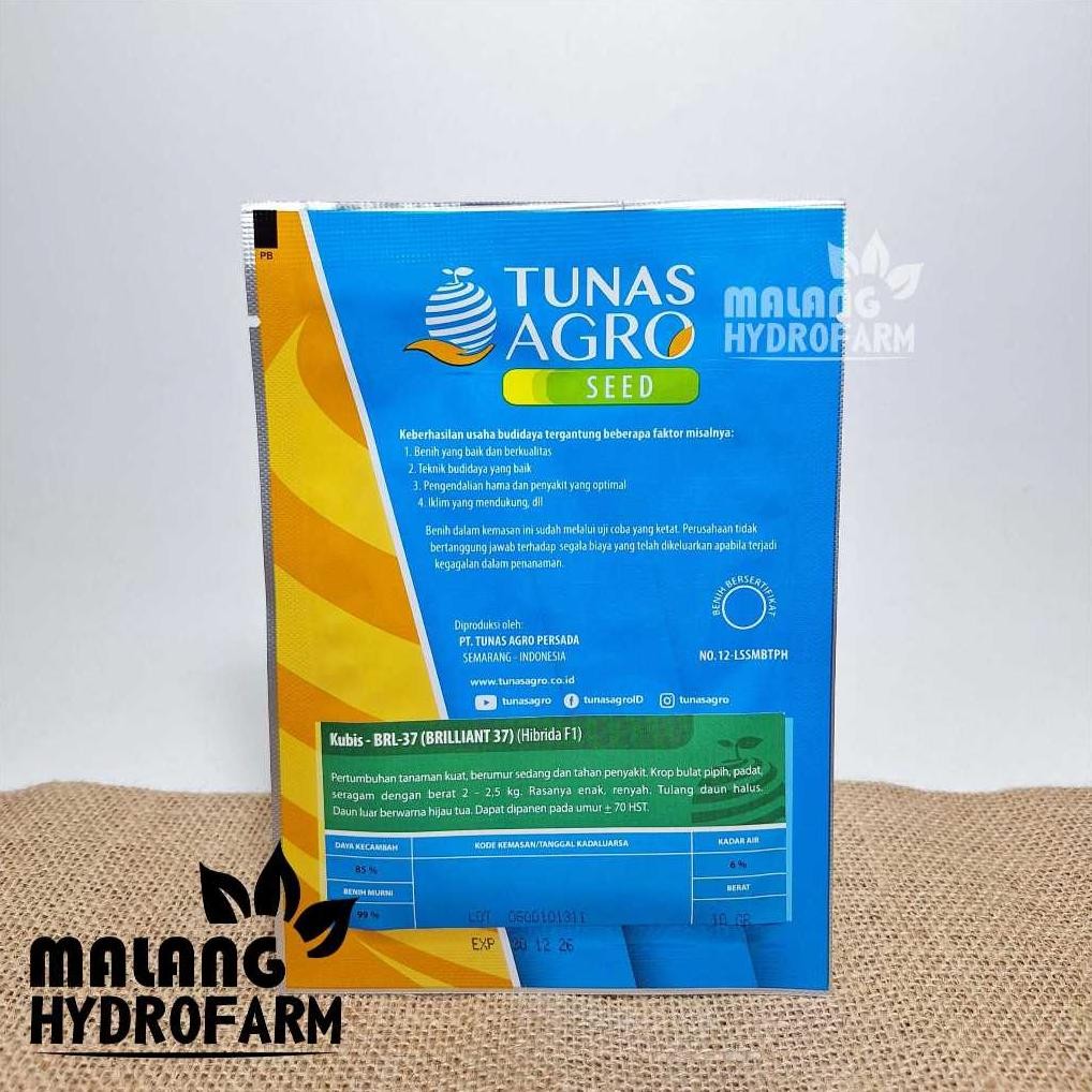 Benih Kubis Hijau Brilliant 37 10 Gram Tunas Agro  Hibrida F1 Tahan Akar Gada Dataran Rendah Menenga