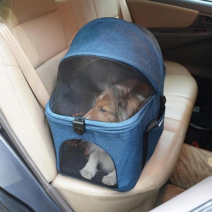 Pet Kingdom Tag Hewan Small Pom Pt166 Pet Tag Bandul Tanda Pengenal Anjing Kucing Charm Tag Kalung H