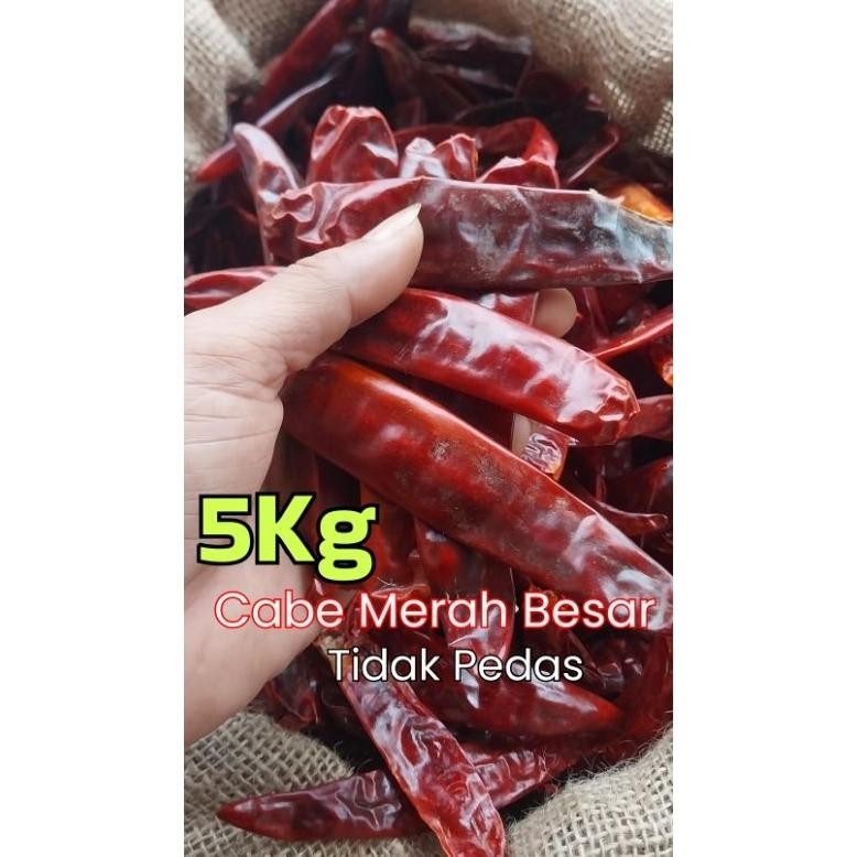 

Paket Promo !! 5Kg Cabe Merah Besar / Tanjung (Tidak Pedas ) Kualitas Super