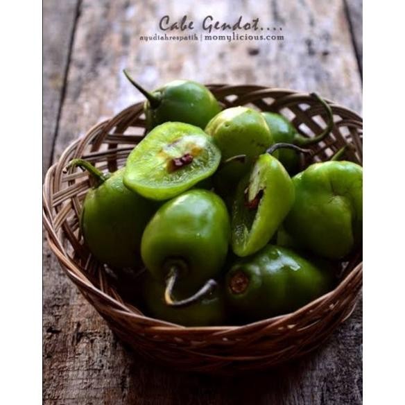 

Aman Cabai Bendot Cabe Gendot Bandung Segar 250Gr Ekstra Pedas