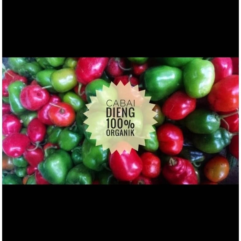 

Elegan Cabe Gendot Organik Dieng 1 Kg (Harga Promo,Rusak Kami Ganti !)