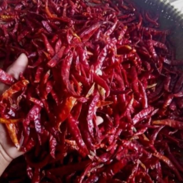 

Perhatian Cabe Rawit (Teja)1Kg/Petik(Tanpa Tangkai)Cabai Kering Rawit Asli Extra Pedas