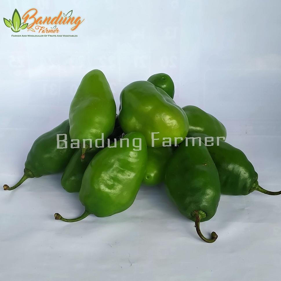 

Kenyamanan Cabe Gendot 500Gr Fresh