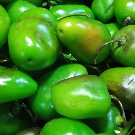 

New Arrival Cabai Gendot Cabe Gendot Bandung 250Gr Fresh
