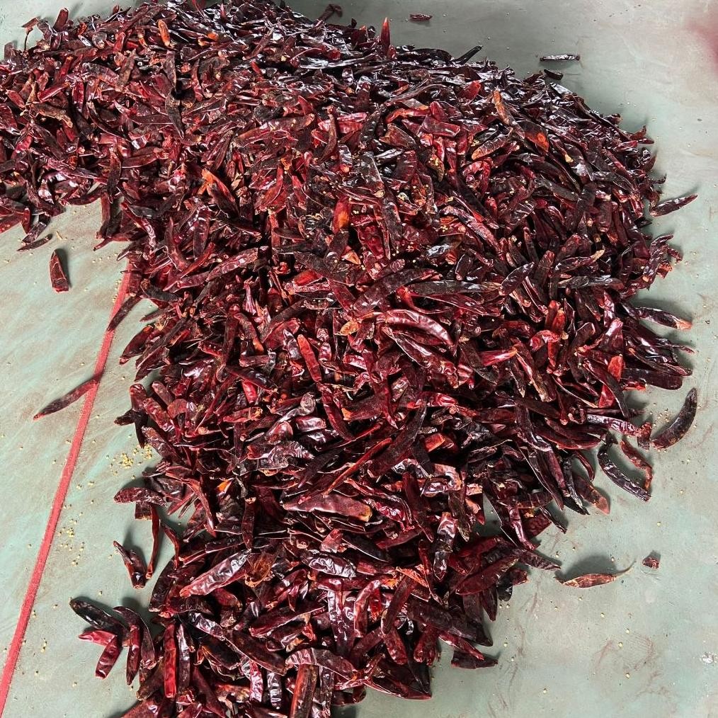

Elegan Cabe Merah Kering Besar Wonder Hot Tanpa Tangkai Tidak Pedas Bumbu Merah Kualitas Premium