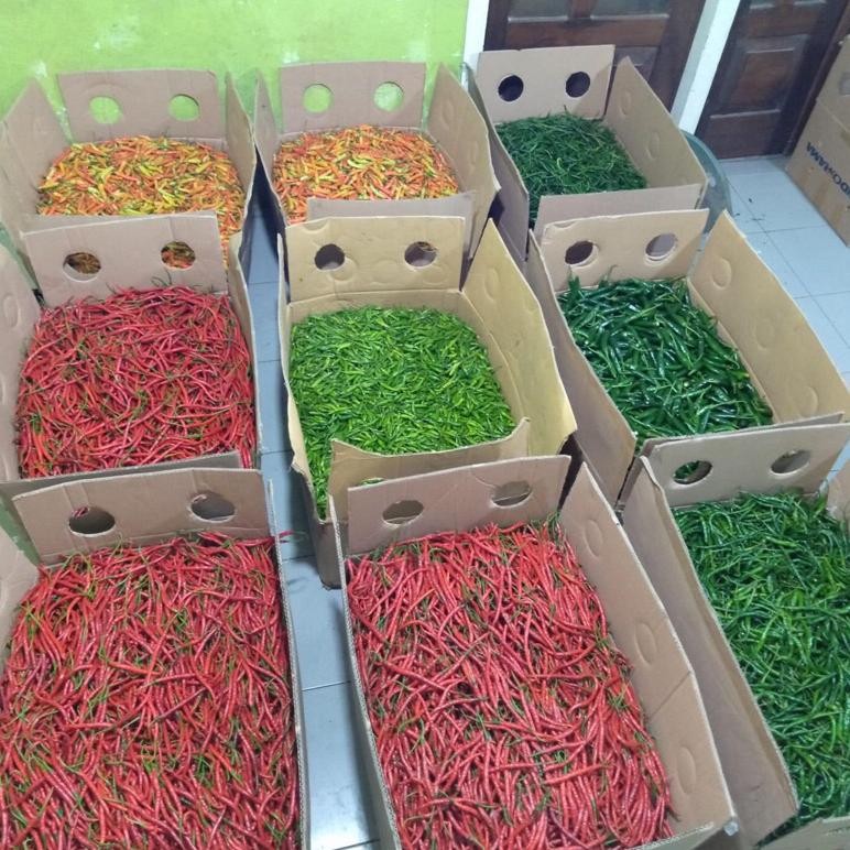 

Praktis Cabe Merah Rawit Ori 1Kg
