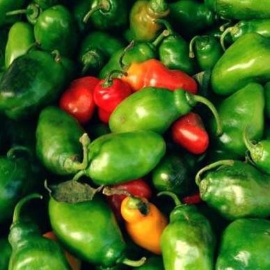 

Unik Cabe Cabai Gengot Bendot Gendol Segar 500Gr Sayur- Buah Fresh Bandung