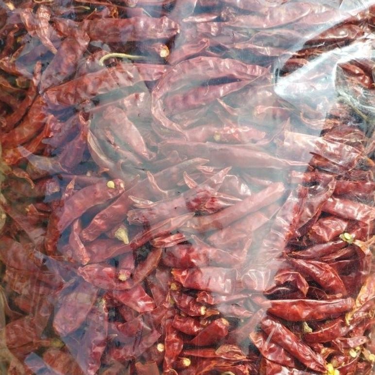 

Cocok 1Bal Isi 5Kg Cabe Rawit Teja Kering (Premium) No.1 Grade A Pedas Alami /Harga Hemat