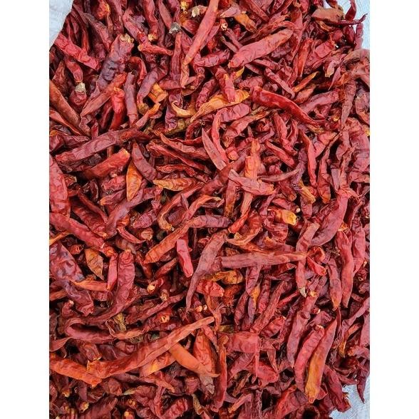 

Aman Terbaik Cabe Rawit Kering 500Gr / Cabe Rawit Teja Super / Cabe Kering