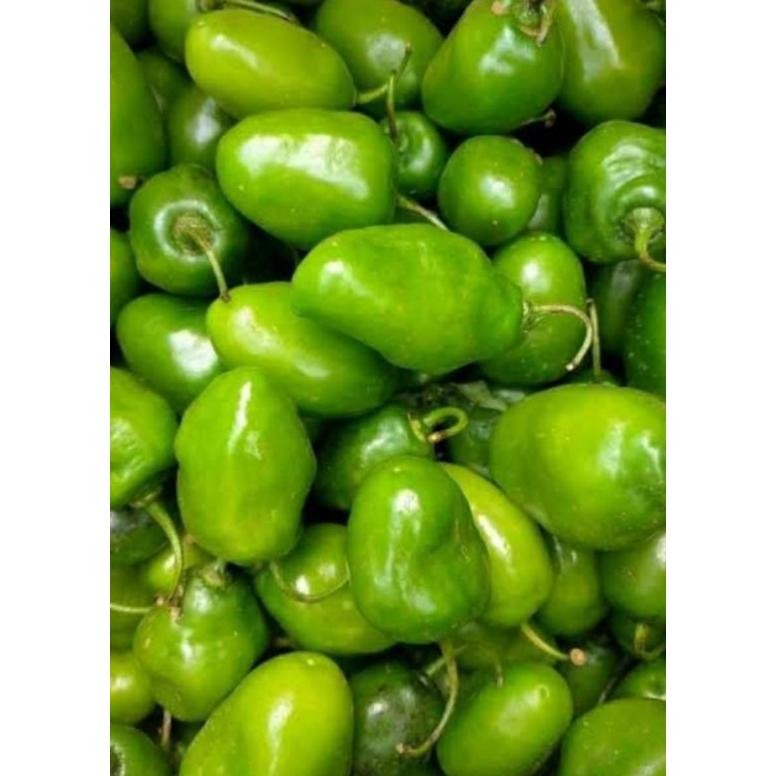 

Tahan Lama 1000 Gr Cabe Gendot Bandung