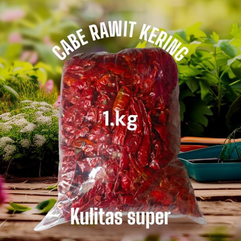 

Penuh Inovasi Ready Kemasan ( 1.Kg ) Cabe Rawit Teja Kering Imfor Kulitas Super Pedas Cocok Untuk Bumbu Seblak
