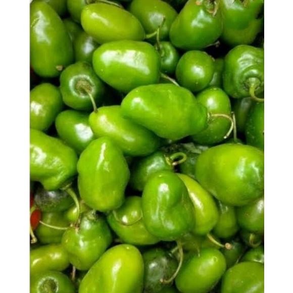 

Buktikan Cabe Gendot Cabai Bendot Bandung Segar 500Gr